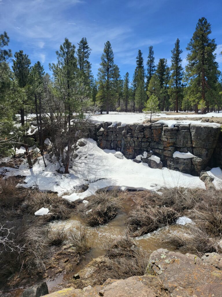 A small creek that ran alongside the Museum of Northern Arizona