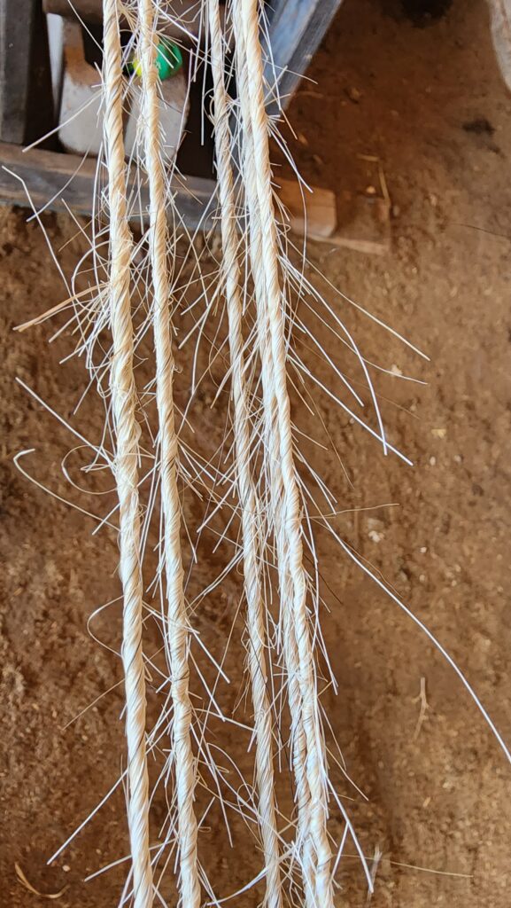 horse hair spun and braided 